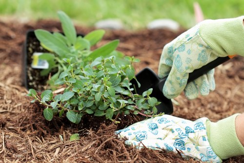 Professional garden clearance services in Barkingside